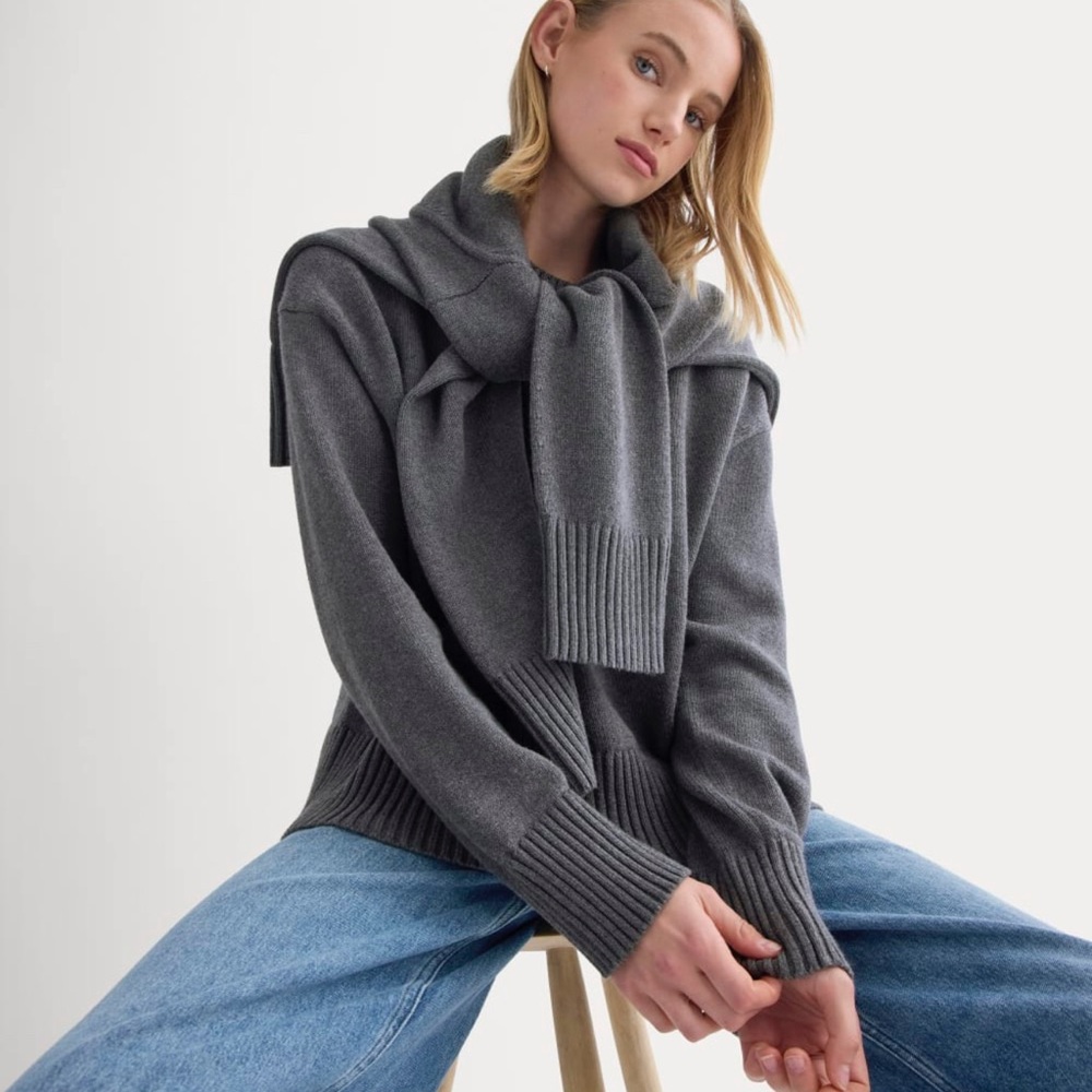 EVERLANE THE BOXY SWEATER IN EVERYDAY COTTON